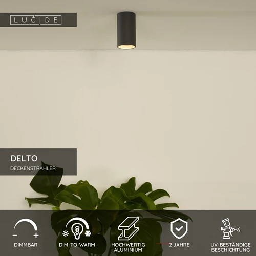 Lucide DELTO - Deckenstrahler - Ø 5,5 cm - LED Dim to warm - GU10 - 1x5W 2200K/3000K - Grau - USP